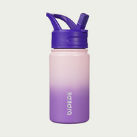 Thumbnail for Ombre AquaChill Insulated Water Bottle