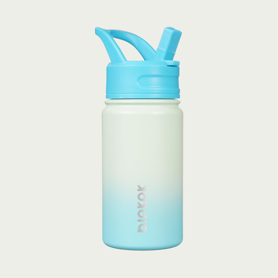 Ombre AquaChill Insulated Water Bottle