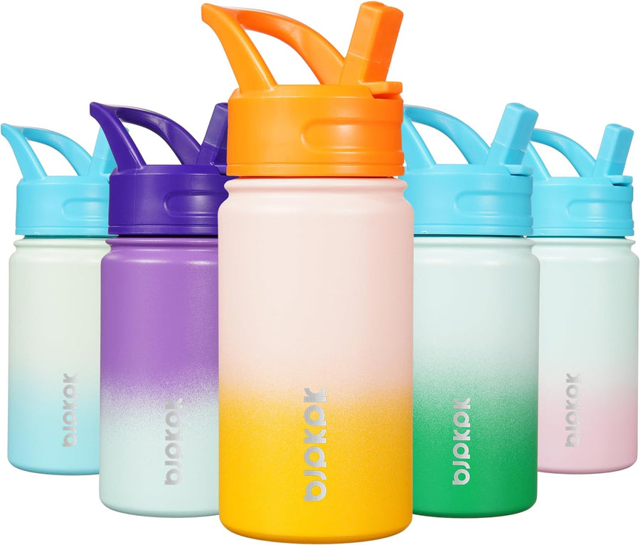 Ombre AquaChill Insulated Water Bottle